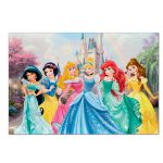 Trio De Capas Cilindros + Painel Retangular Horizontal Princesas