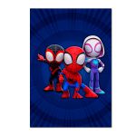 Painel Festa Retangular Spidey