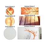 Trio Capas + Painéis Casado Tema Natureza Elegante