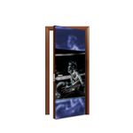 Capa de Porta Tema Acessibilidade 2