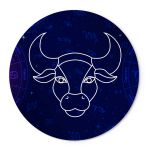 Capas Painel Redondo Tema Signo Touro Veste Fácil C/ Elástico