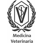 Camisa de Algodão Lisa Preta - Estampa Medicina Veterinária