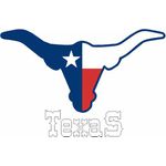 Camisa de Algodão Lisa Preta - Estampa Texas
