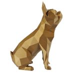 Boston Terrier - Dourado