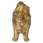 Chow Chow - Dourado