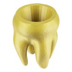 Dente - Porta Objetos - Ouro