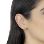 Brinco De Ouro 18k Folha de Arruda