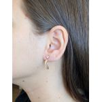 Brinco De Ouro 18k Angel