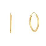 Brinco De Ouro 18k Argola Oval Plus M