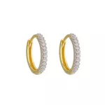 Brinco De Ouro 18k Argola Oval Radiante M