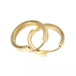Brinco De Ouro 18k Plus Argola Redonda Pp