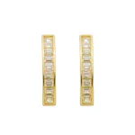 Brinco De Ouro 18k Protea com Zircônias 
