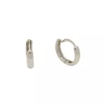 Brinco De Ouro Branco 18k Argola Luar P