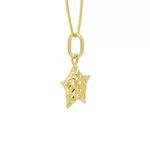 Pingente De Ouro 18k Estrela Diamantada P