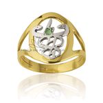 Anel De Formatura Personalizado Em Fisioterapia Em Ouro 18k