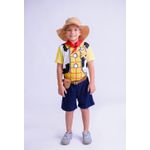 Fantasia Woody Infantil Toy Cowboy 