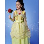 fantasia princesa