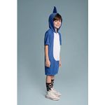 fantasia sonic 