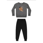 Conjunto Infantil Menino Blusão Elian Cinza