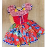 Fantasia Festa Junina Vestido Florido