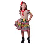 Fantasia Cangaceira Vestido Decorado