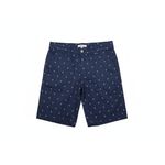 Bermuda Diametro coqueiros marinho