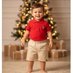 Conjunto Menino Polo brandili