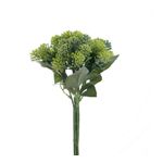 BUQUE FLORES SEMENTES 30CM X7