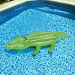 BOIA CROCODILO MOR