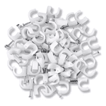 MIGUELAO TEMFIX 1 PREGO 10MM COAX 10 UN