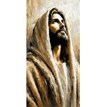 Revestimento CD RT CRISTO POLIDO GRAN 56X113