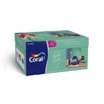 Coral Kit Pintura Ariel 4,4L