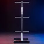 Suporte para Anilha Olimpica 6 Pinos Flexbe Fitness