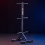 Suporte para Anilha Olimpica 6 Pinos Flexbe Fitness