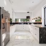 Porcelanato 84x120 Delta Vene Doro Polido