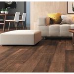 Porcelanato 50x101 Elizabeth Historic Brown
