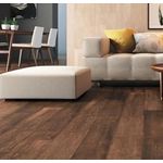 PORCELANATO 50X101 ELIZABETH HISTORIC BROWN 