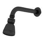 CHUVEIRO DUCHA ARTICULADO PAREDE BLACK 3000 BK53 FANI