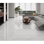 PISO 60X60 FORMIGRES FINESSE CINZA RETIFICADO POLIDO EXTRA