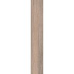 Régua 20x120 Pantanal Mate Hd Formigres 