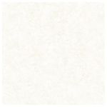 PORCELANATO 60X60 SENSATION SNOW ACETINADO BIANCOGRES (LD)