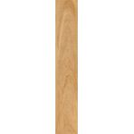 REGUA 20X120 CERAL UNIQUE ACACIA 