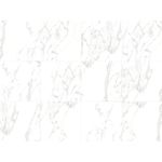 PORCELANATO 62X62 DELTA BALMES ACETINADO 