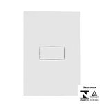CONJUNTO INTERRUPTOR SIMPLES 10A 250V~i9