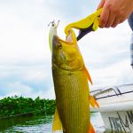 Alicate Marine Sports Neo Plus Fishing Grip - Amarelo
