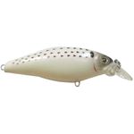 Isca Marine Sports Shiner King 70