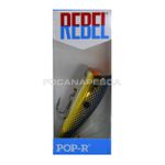 Isca Rebel POP R 60 - Cor 77