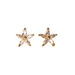 Brinco Flora- banho ouro 18k