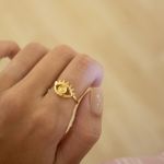 Anel Grécia- banho ouro 18k