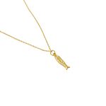 Colar Peixe- banho ouro 18k